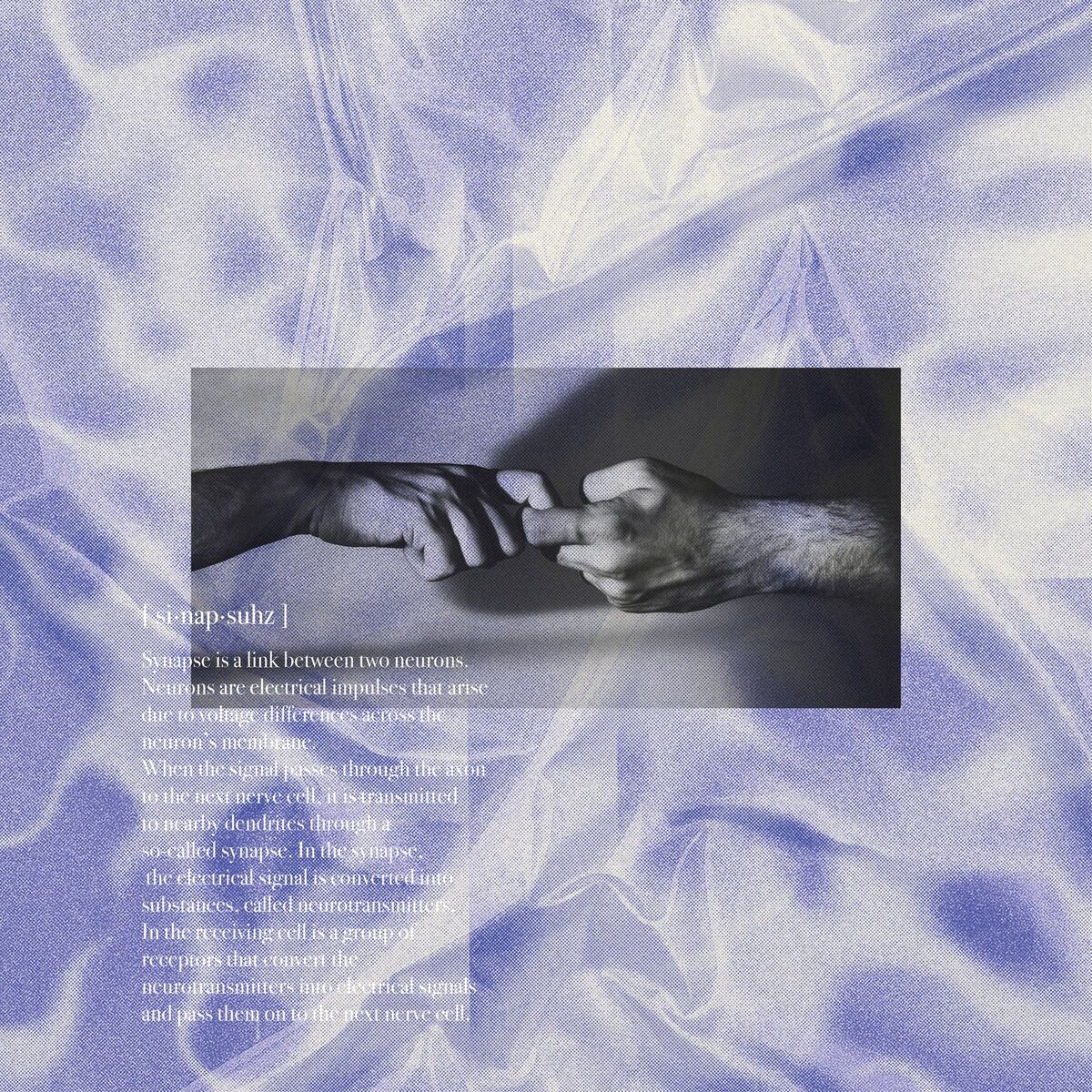 Album cover of Synapses