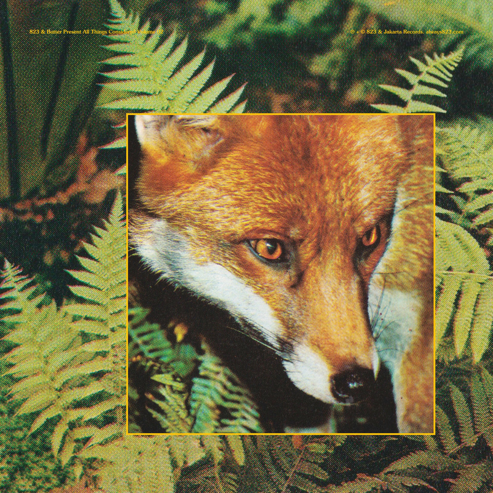 Album cover of Too Much