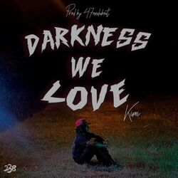 Cover of Darkness We Love