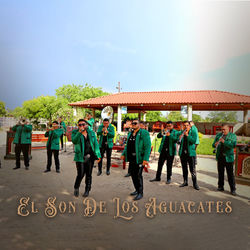 El Son De Los Aguacates (En Vivo)