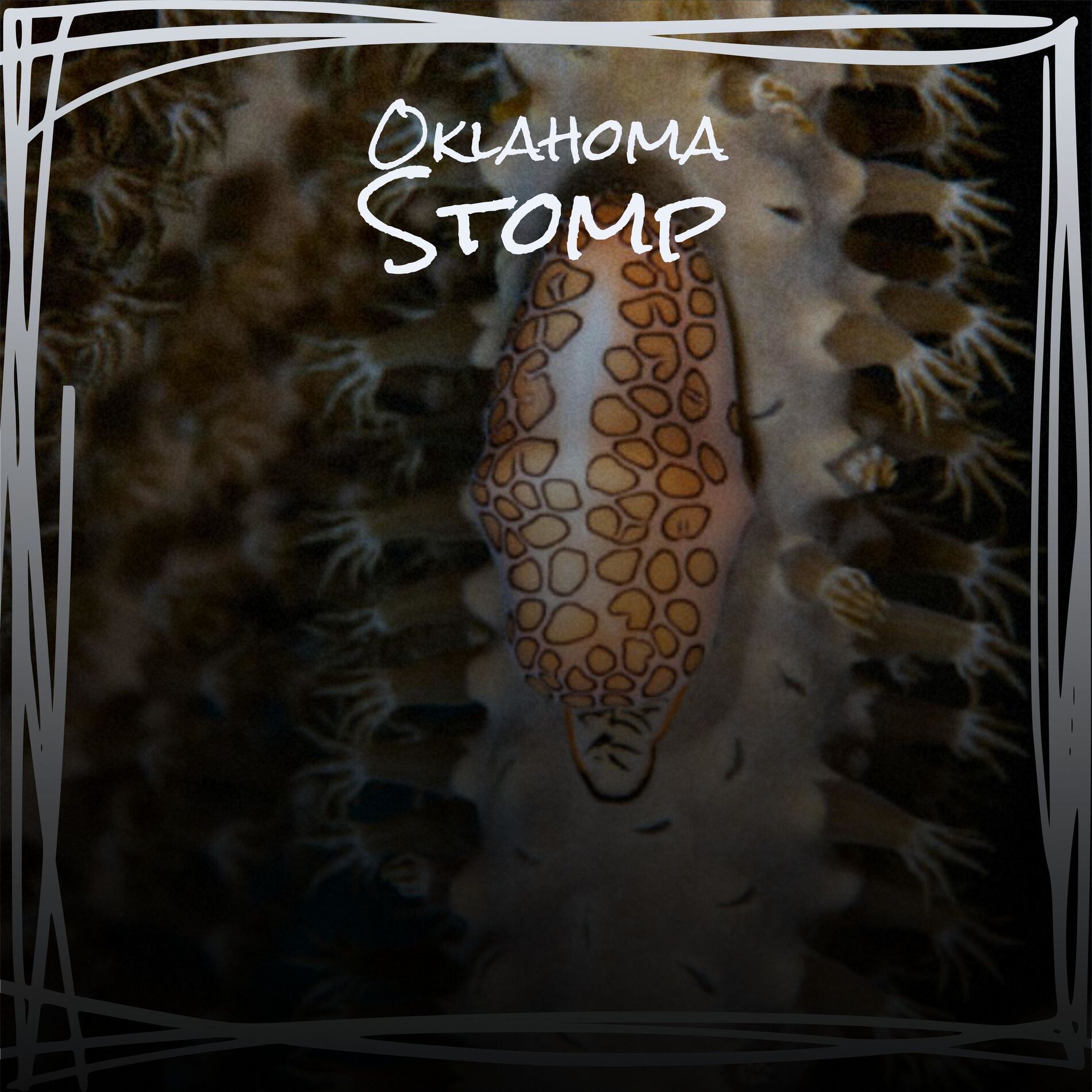 Album cover of Oklahoma Stomp