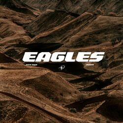 Cover of Eagles
