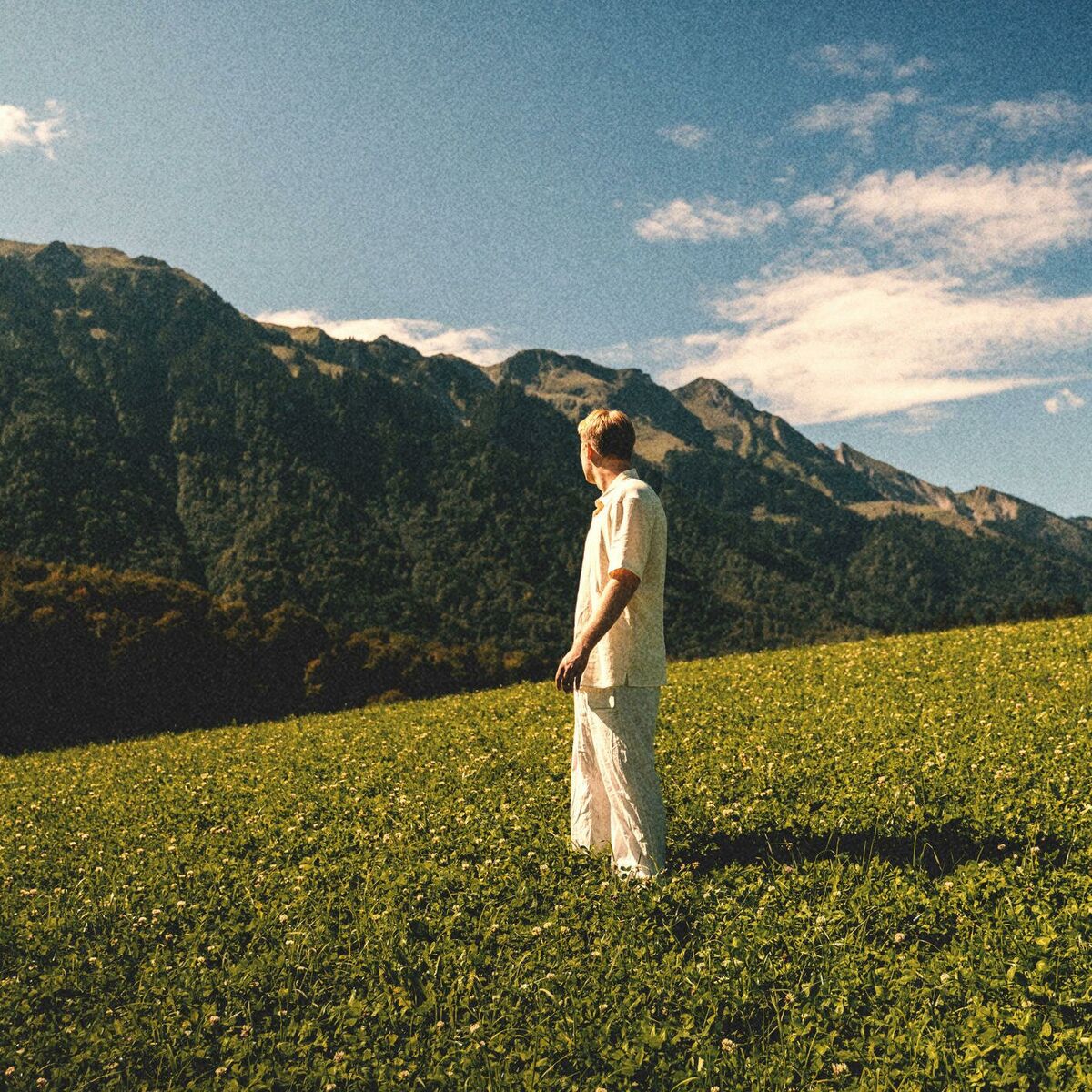 Album cover of Diese Eine