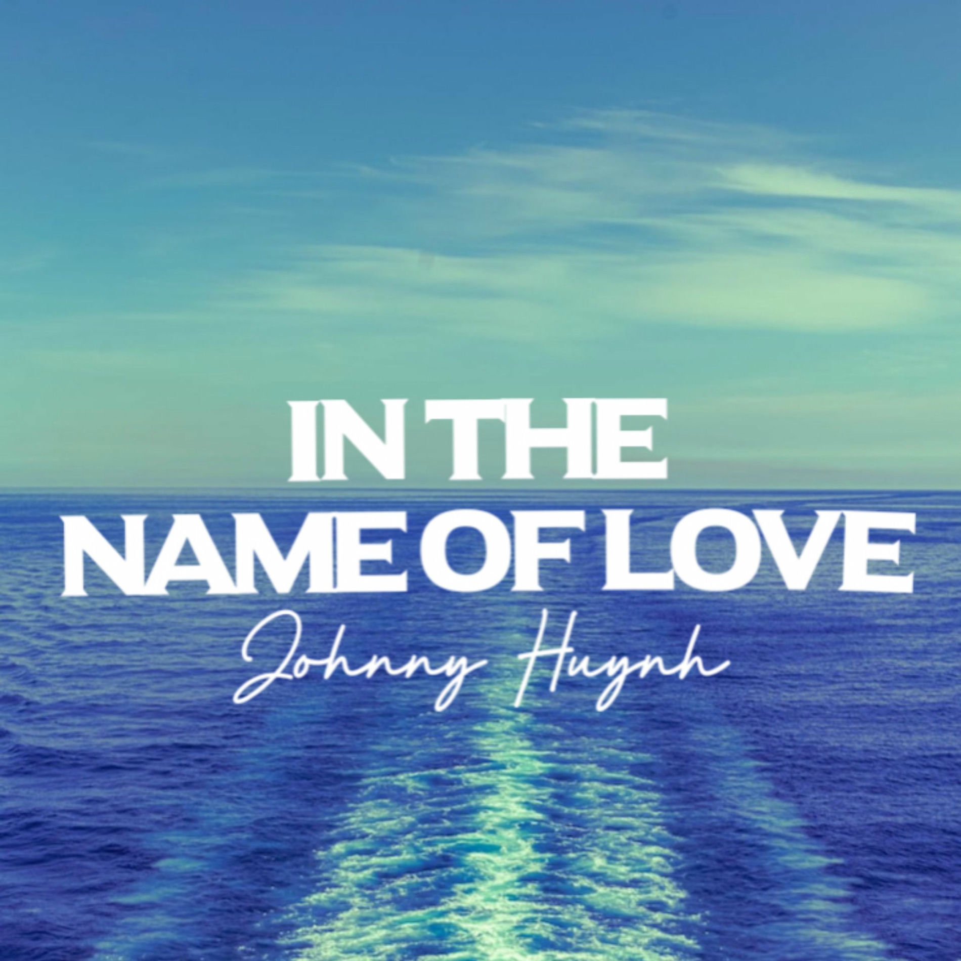 Album cover of In The Name Of Love