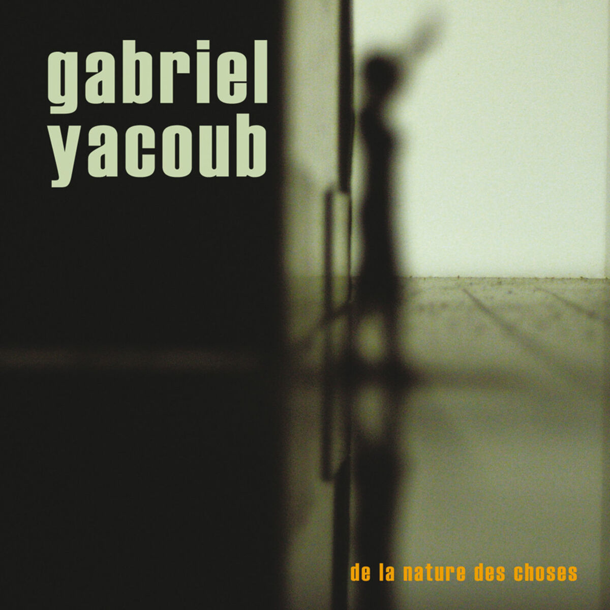Album cover of De la nature des choses