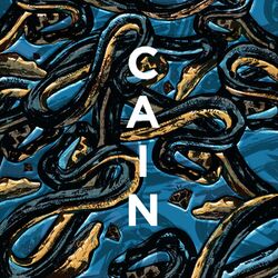Cover of The Collection 2014-2019