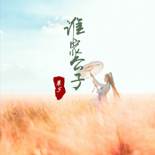 谁家公子
