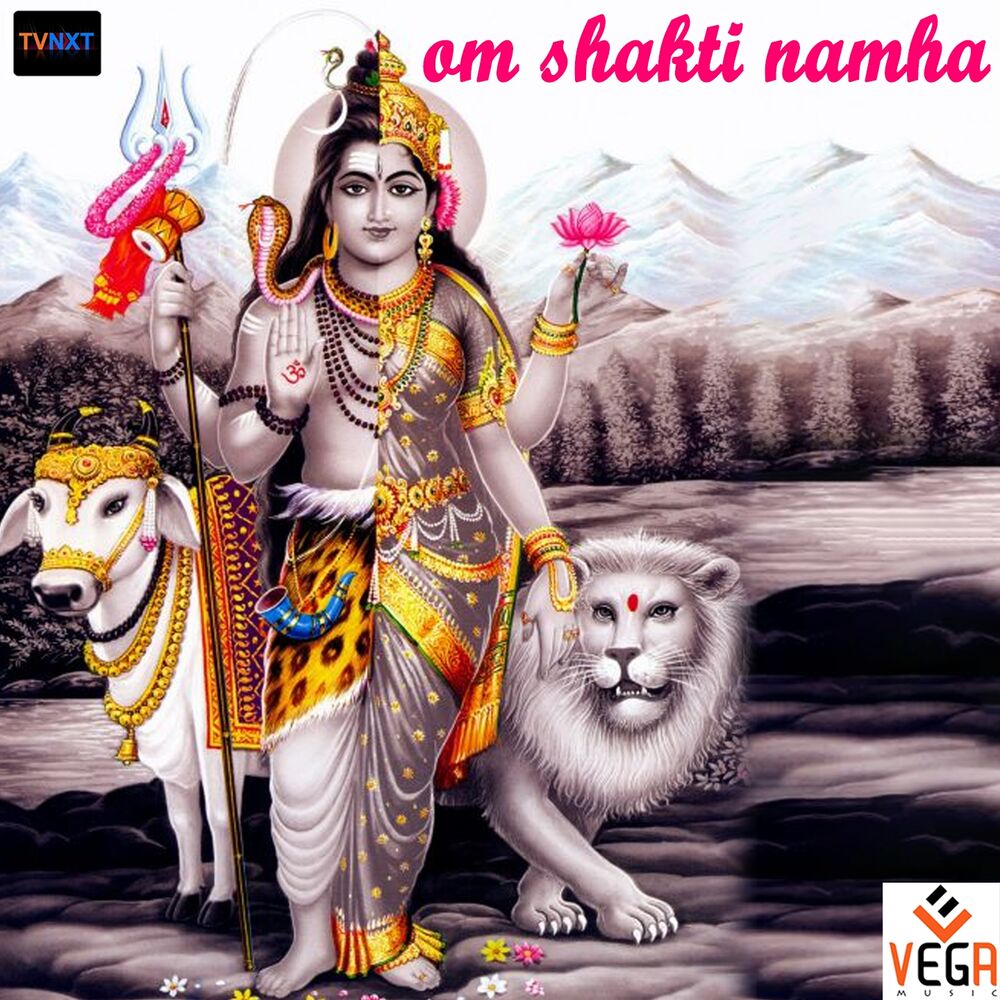 Picture of Om Shakti Namha