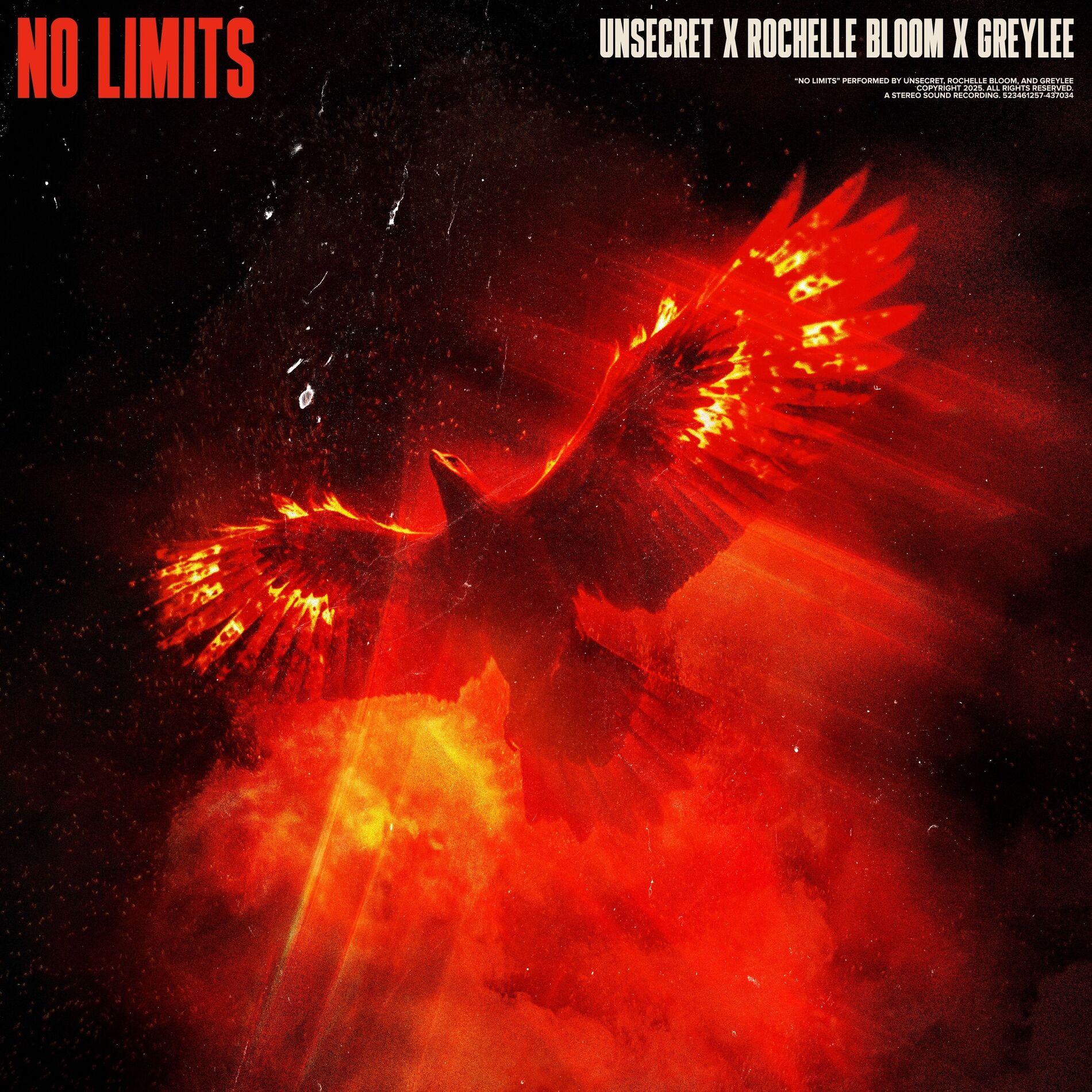 Album cover of No Limits
