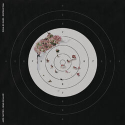 music cover
