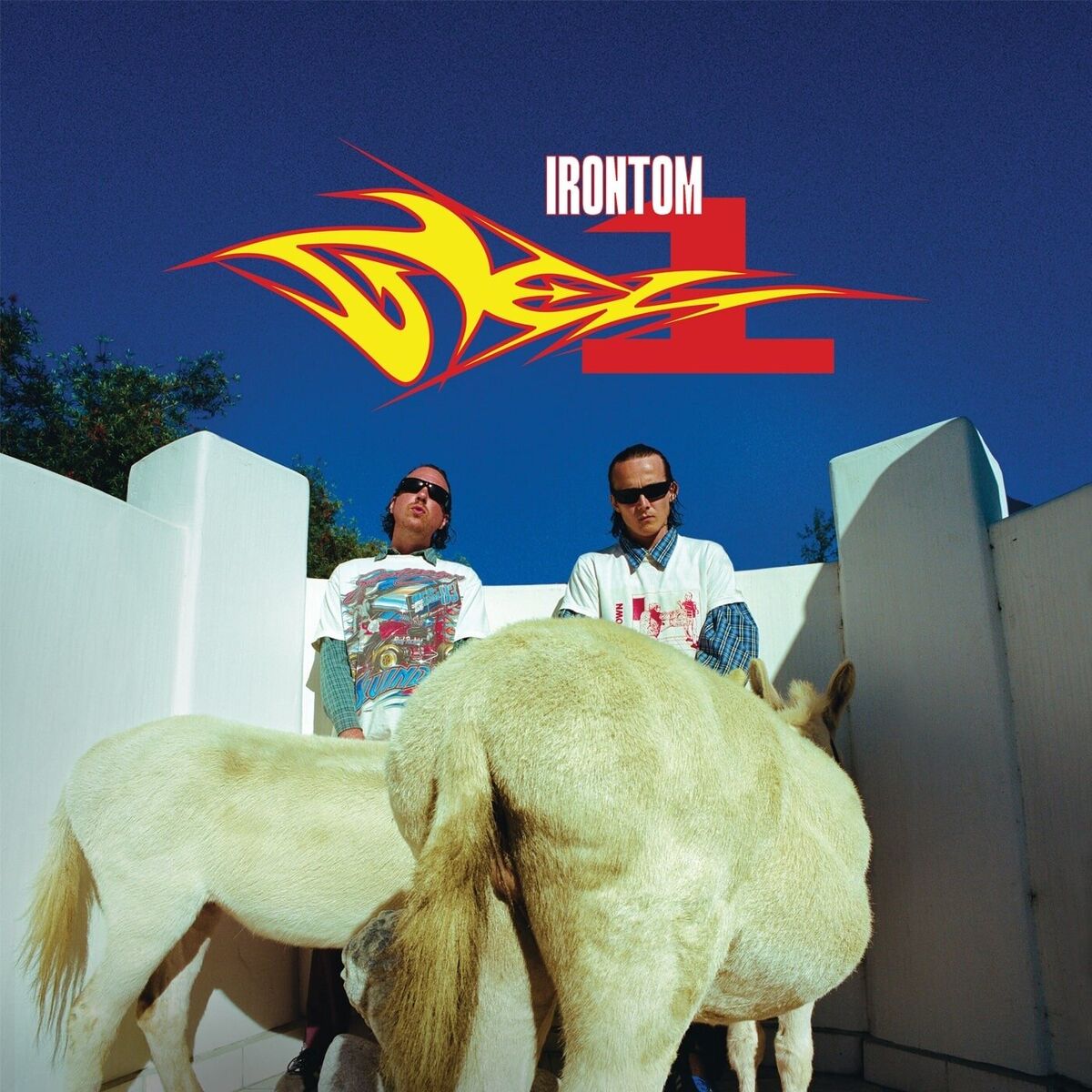 Album cover of Common Chaos