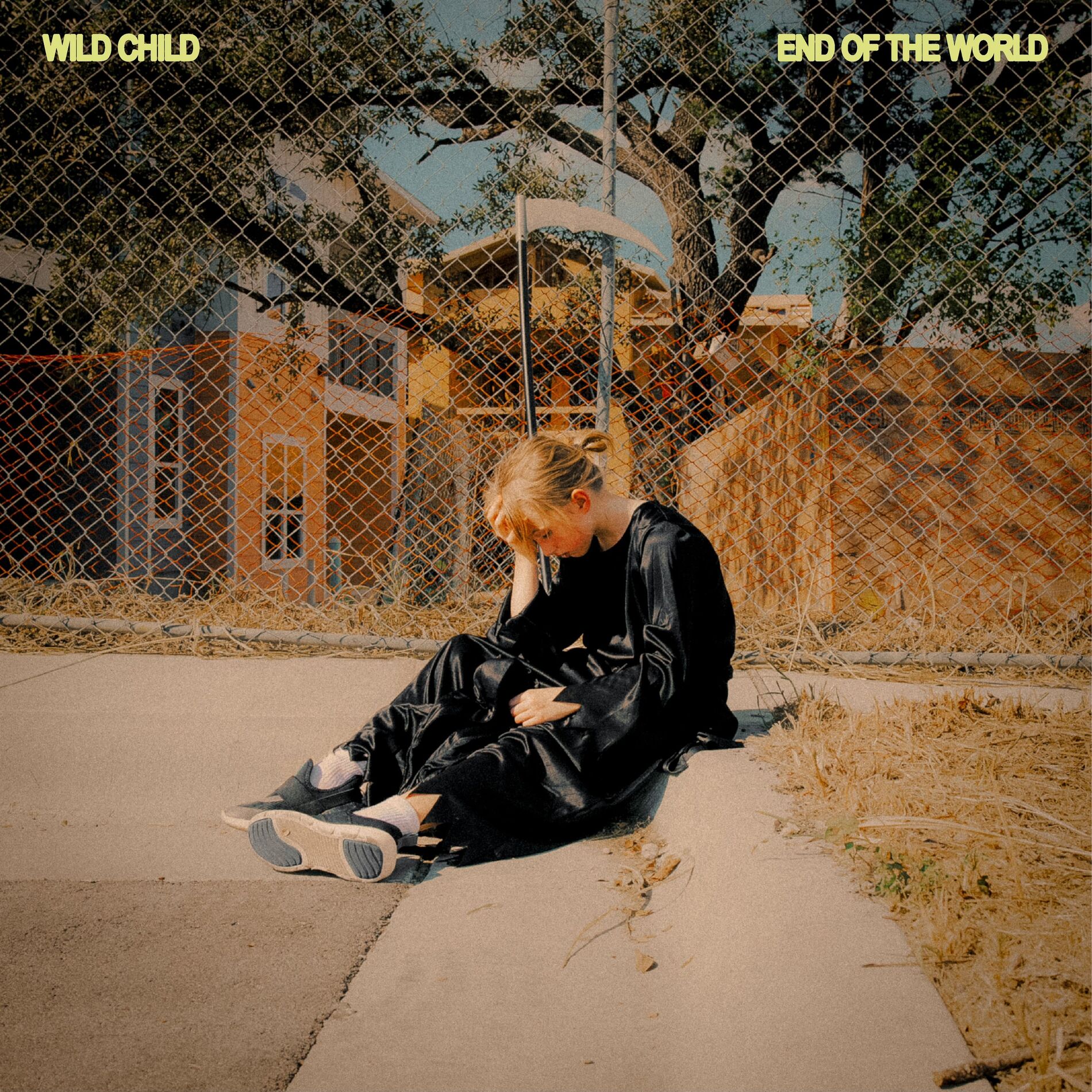 Album cover of End of the World