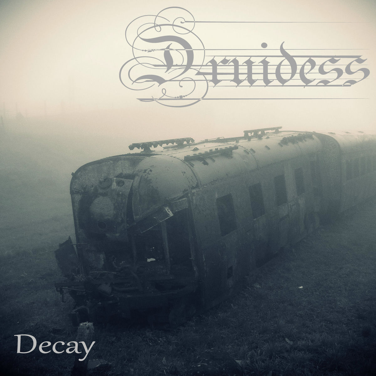 Album cover of Decay