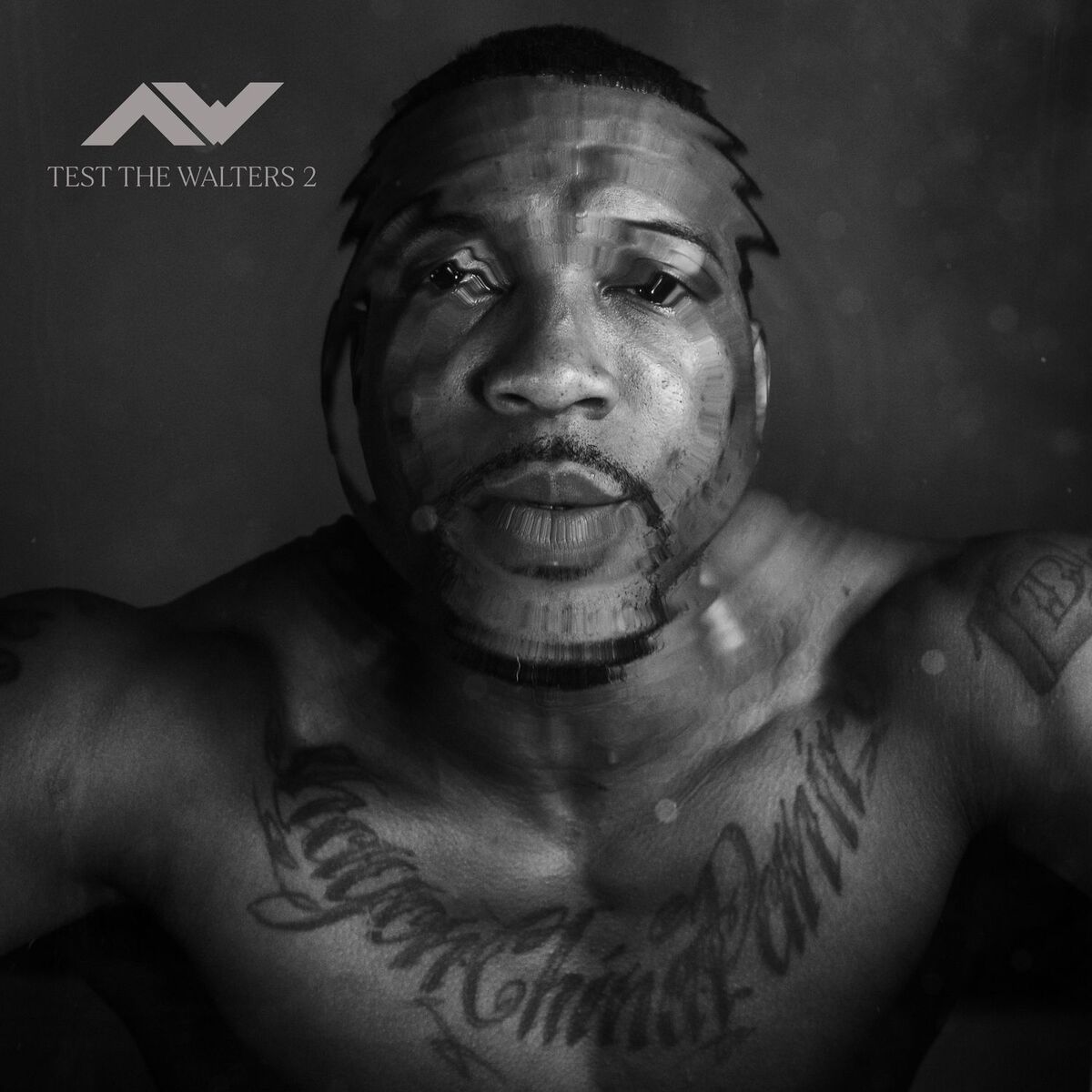 Album cover of Test The Walters 2