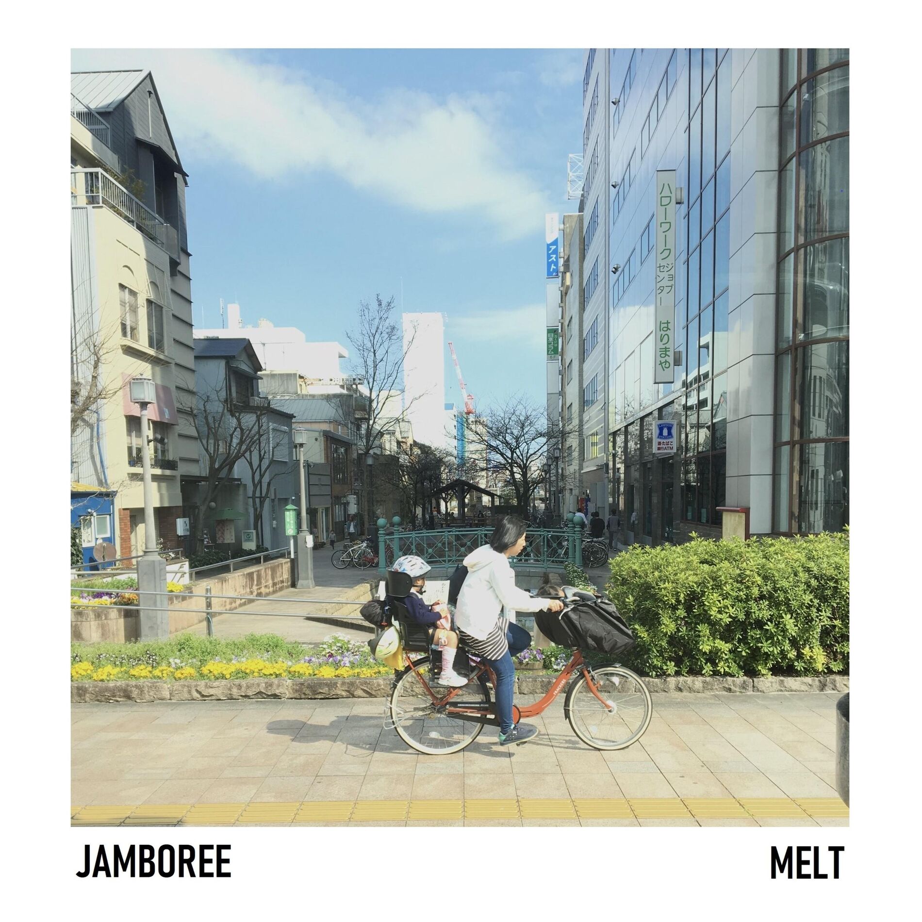 Album cover of Melt