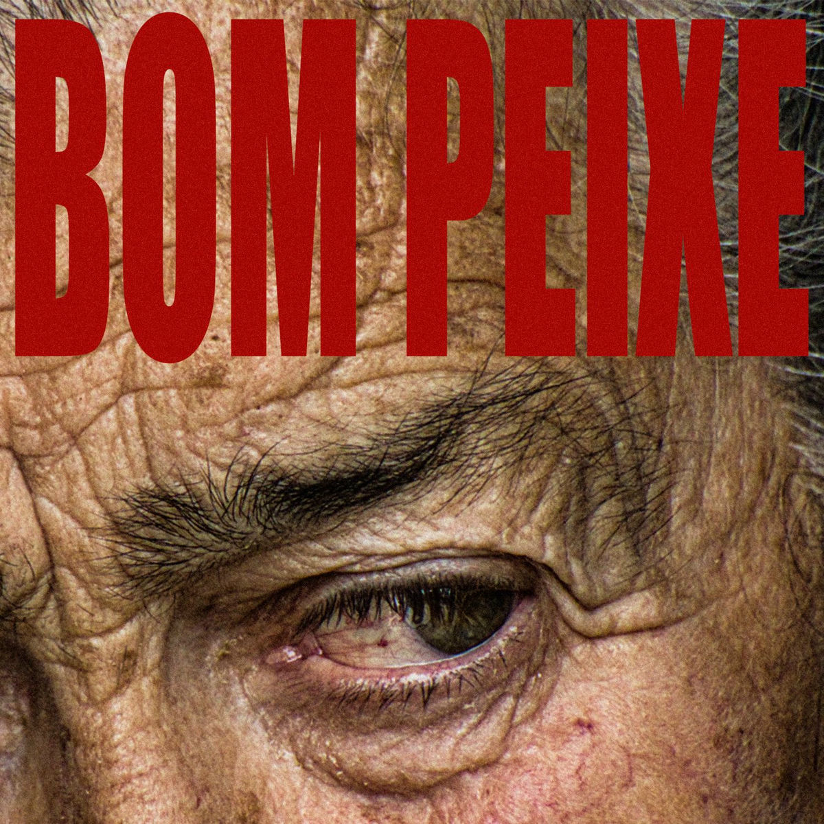 Album cover of Bom Peixe