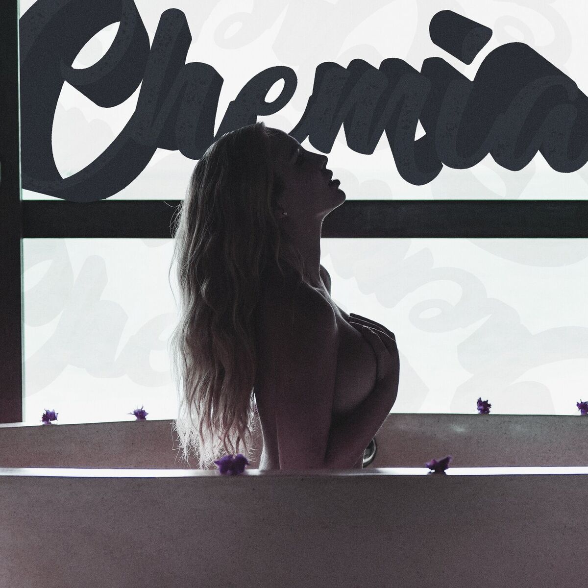 Album cover of Chemia