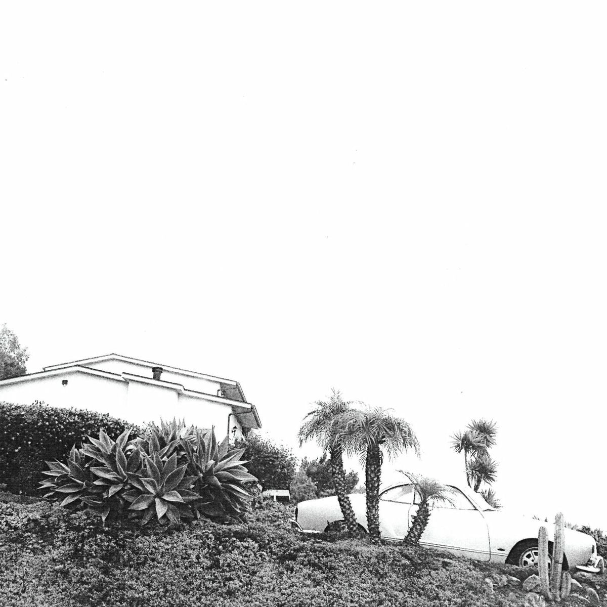 Album cover of Hot Dreams