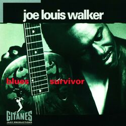 Cover of Blues Survivor