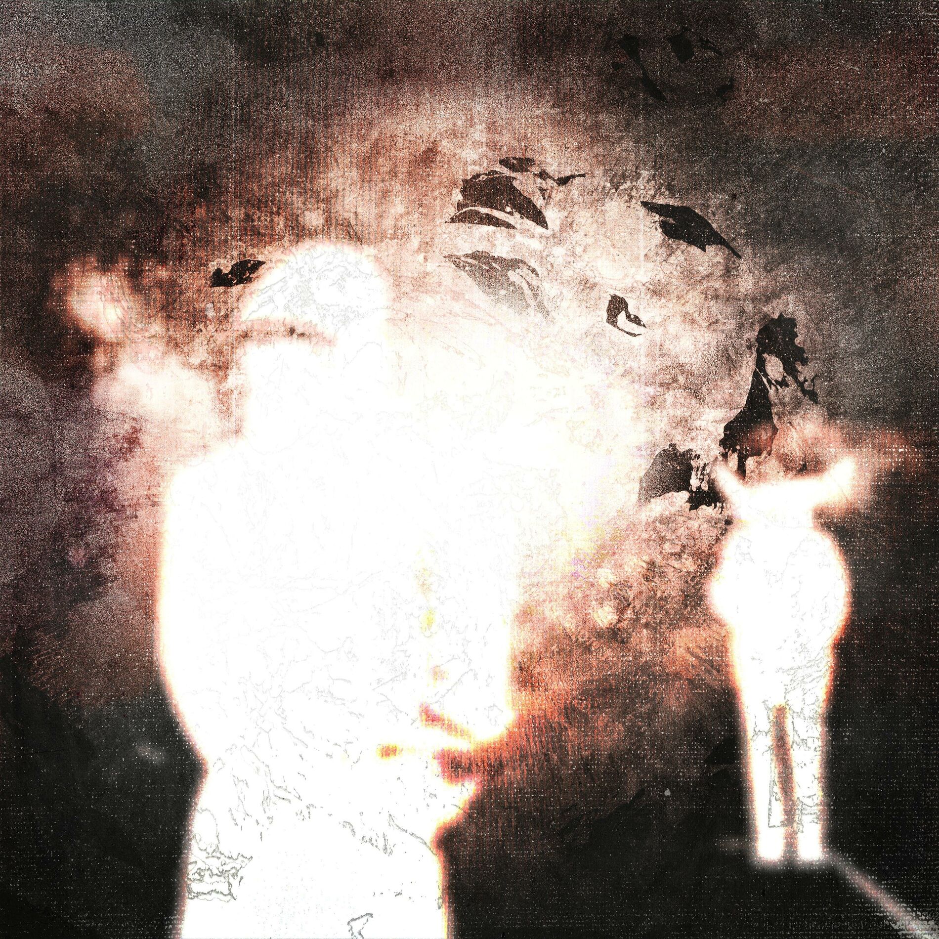 Album cover of DRAGA