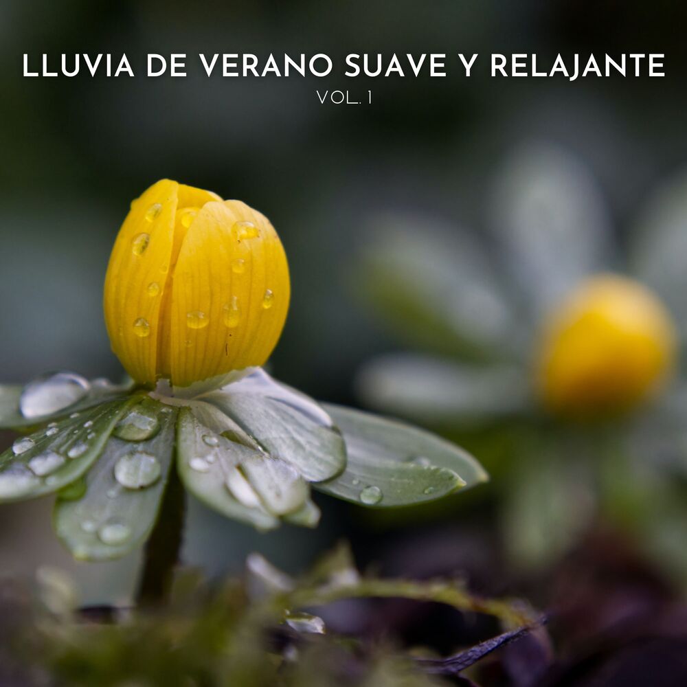 Picture of Lluvia De Verano Suave Y Relajante Vol. 1