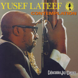 Cover of Contemplation