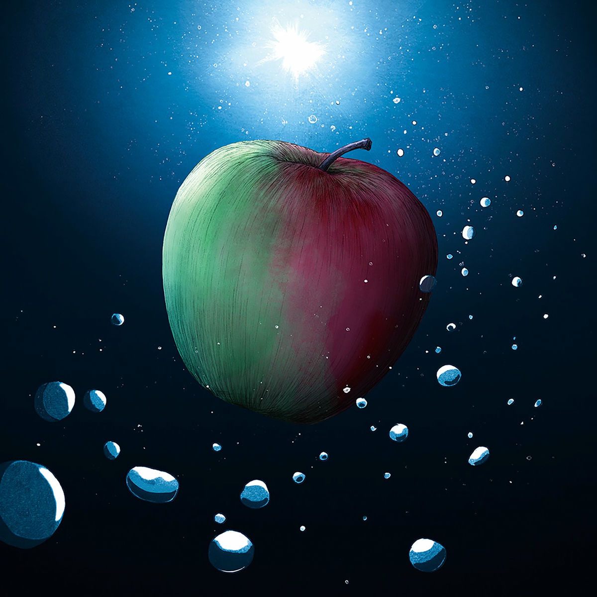 邦楽 melon THE BINARY The Binary - melon | Deezer