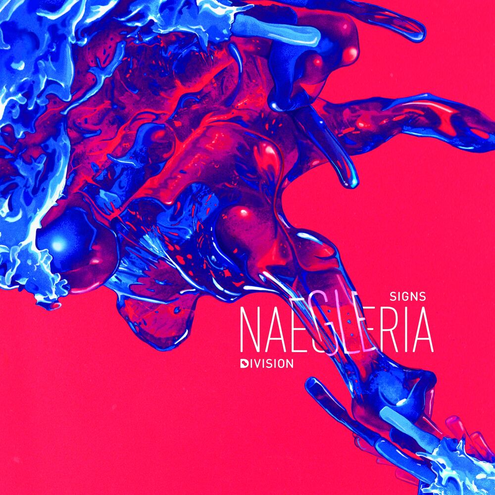 Picture of Naegleria