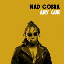 Cover of Any Gun