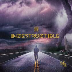 Cover of Indestructible