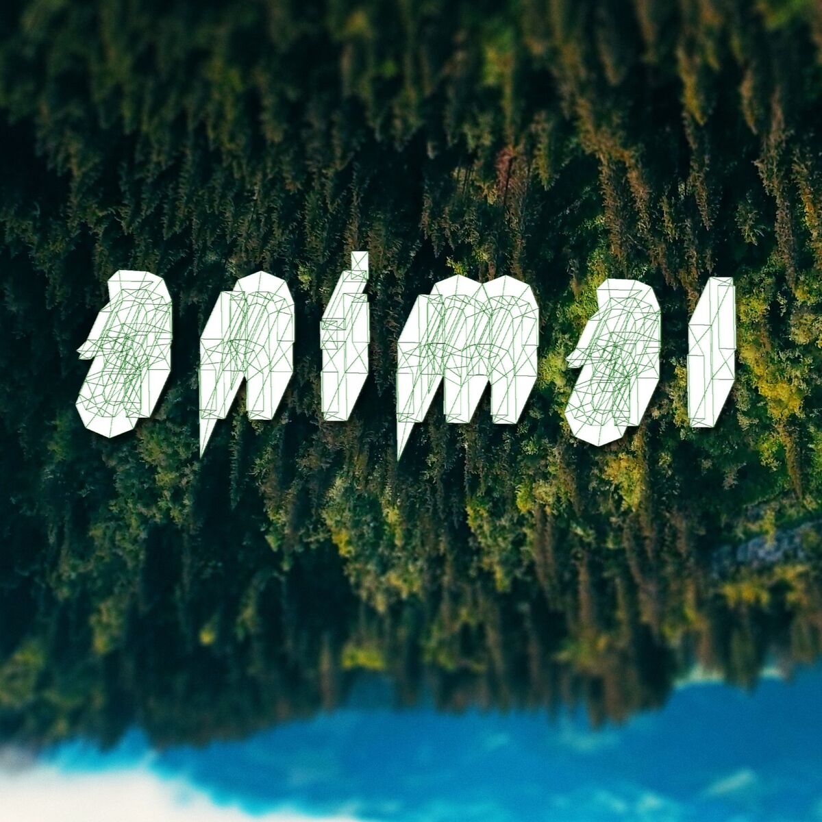 Album cover of Animal
