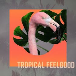 Cover of Tropical Feelgood