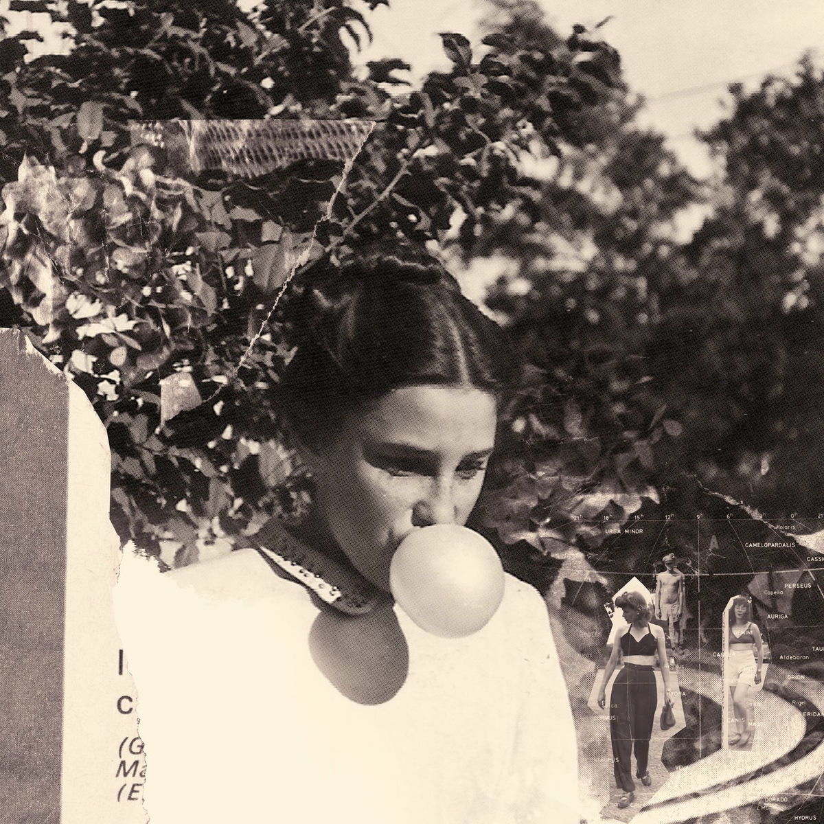 Album cover of Eight Houses