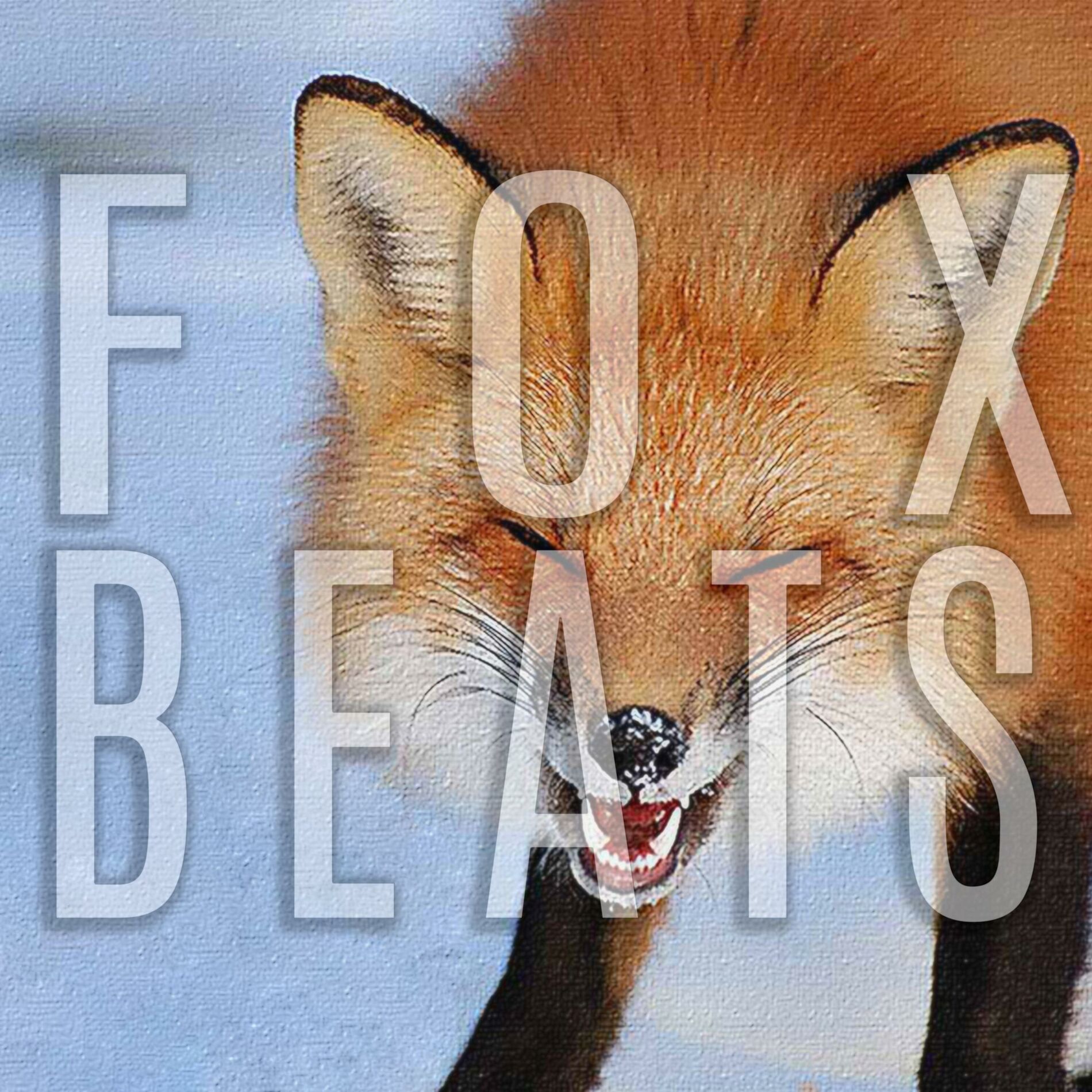 Album cover of Foxbeats