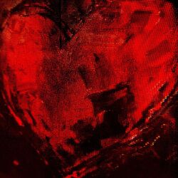 Cover of Count to Five