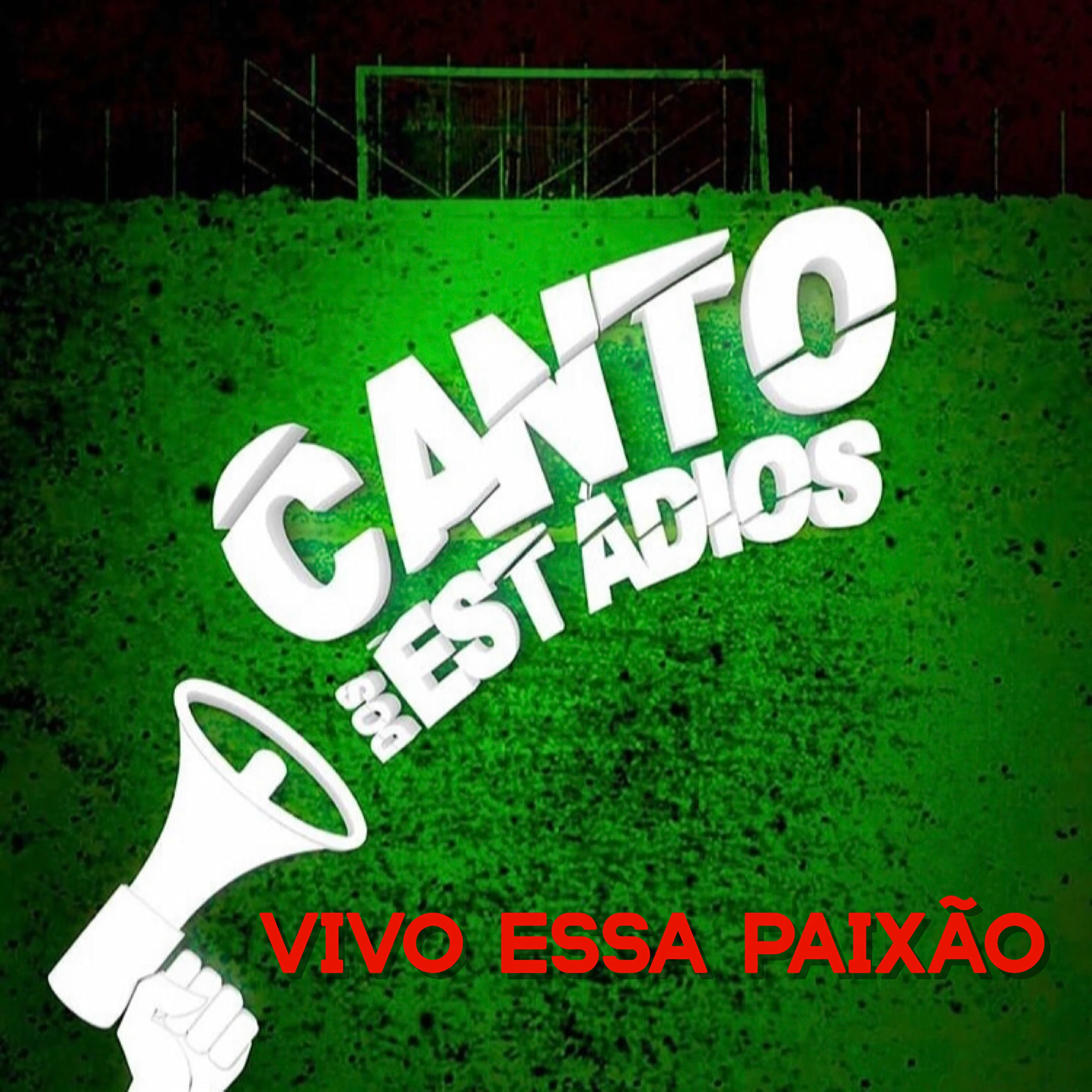 Album cover of Vivo Essa Paixão