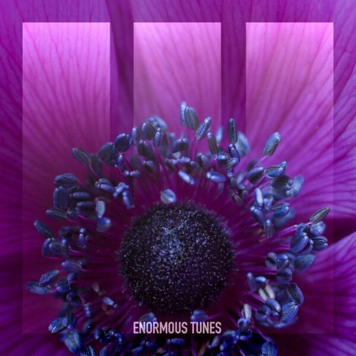 Album cover of Falling