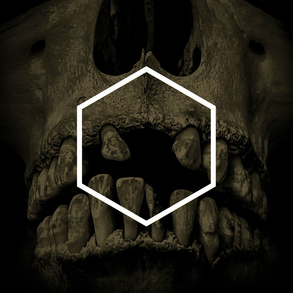 Picture of The Others (Lustmord Deconstructed)