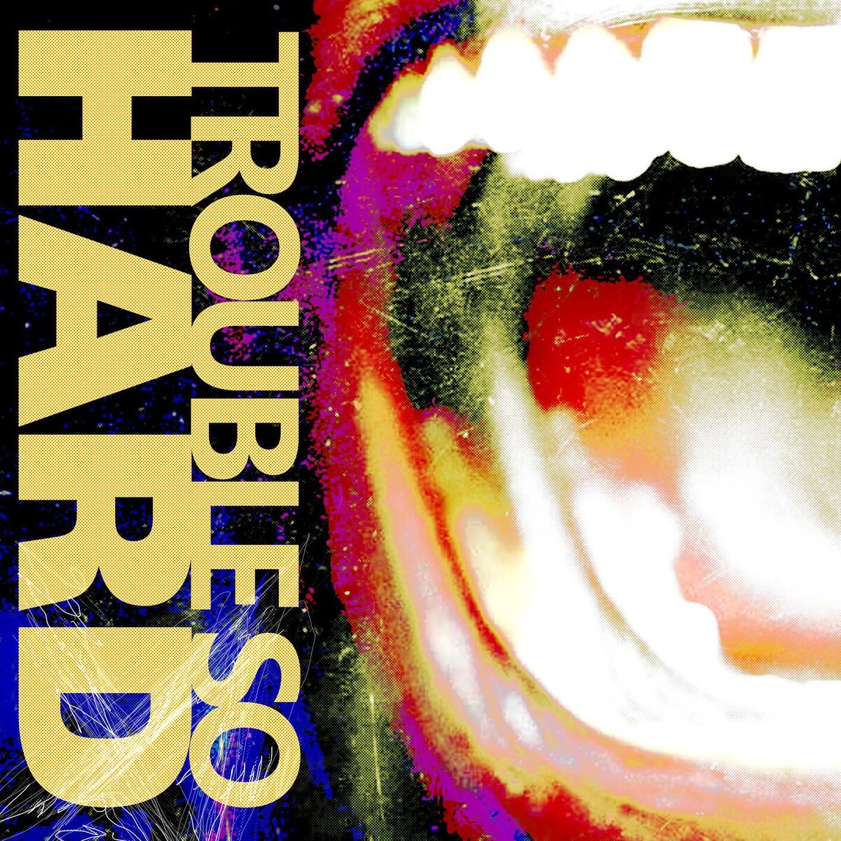 Album cover of Trouble So Hard