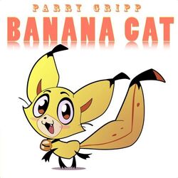 music cover