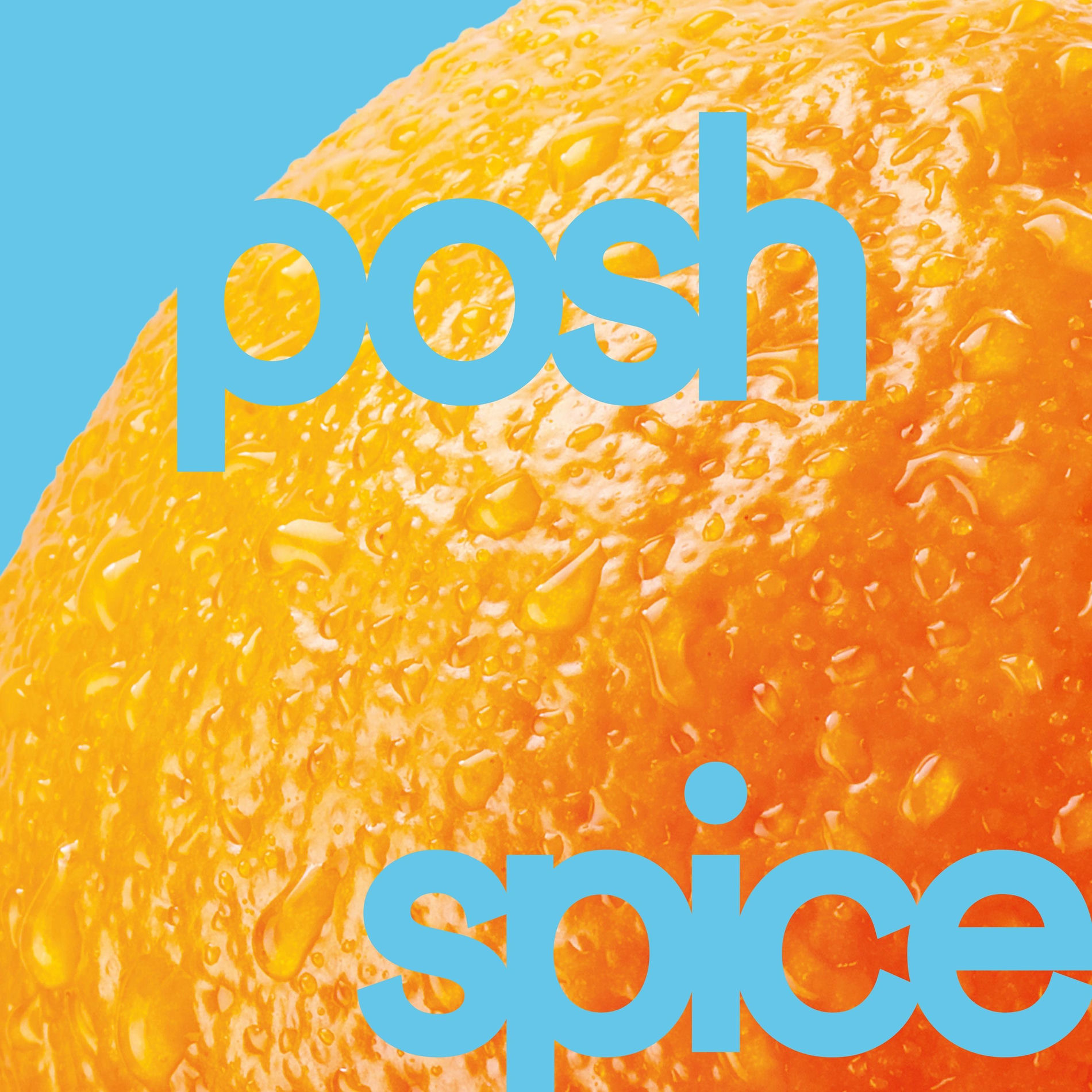 Album cover of Posh Spice