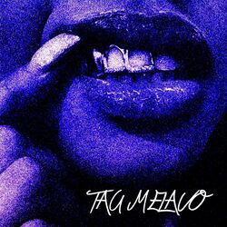 Cover of Tau Melavo