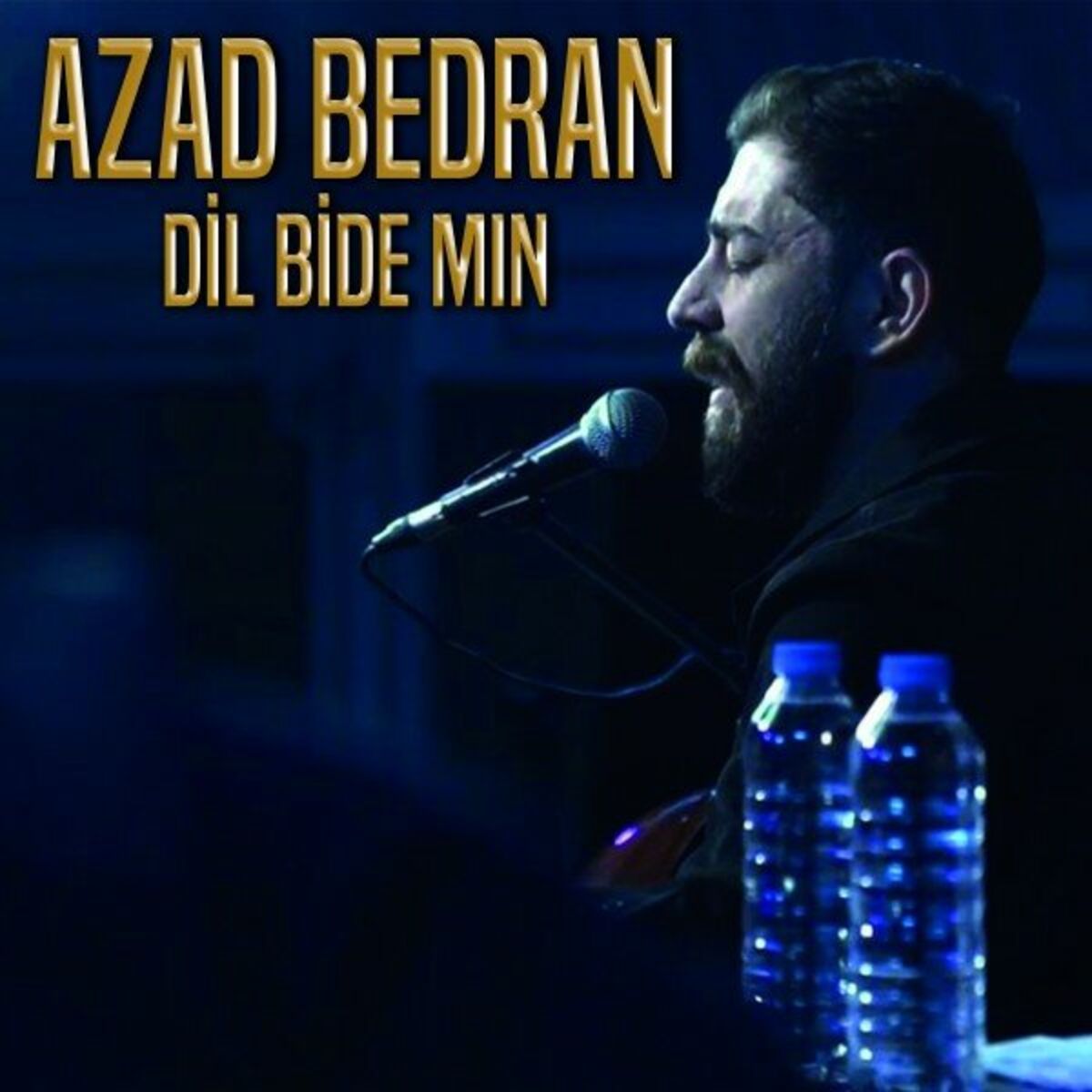 Album cover of Dil Bide Mın
