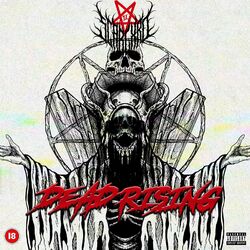 Cover of DeadRising