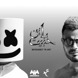 Cover of Bayen Habeit