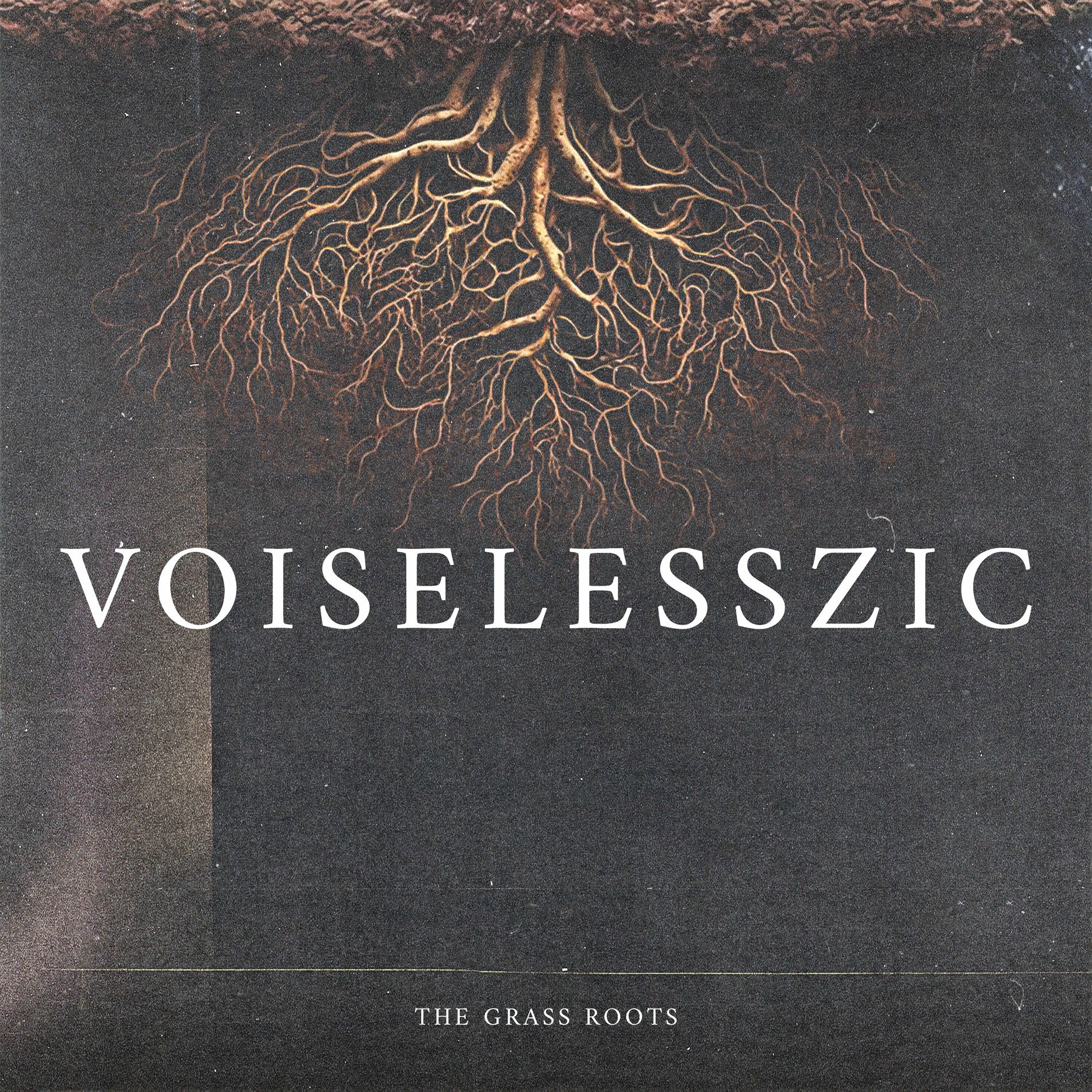 Album cover of VOISELESSZIC