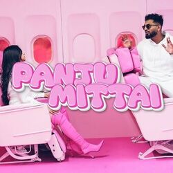 Cover of Panju Mittai