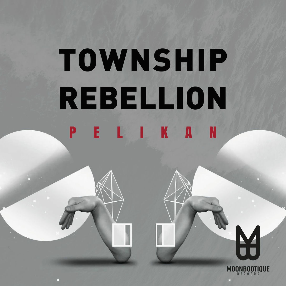 Album cover of Pelikan