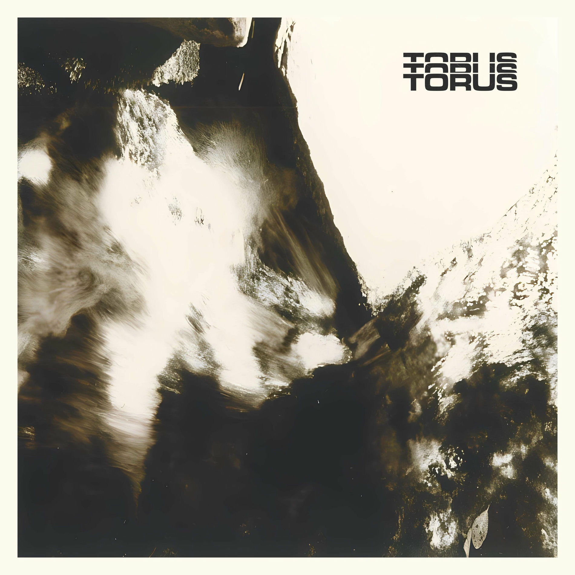 Album cover of Torus