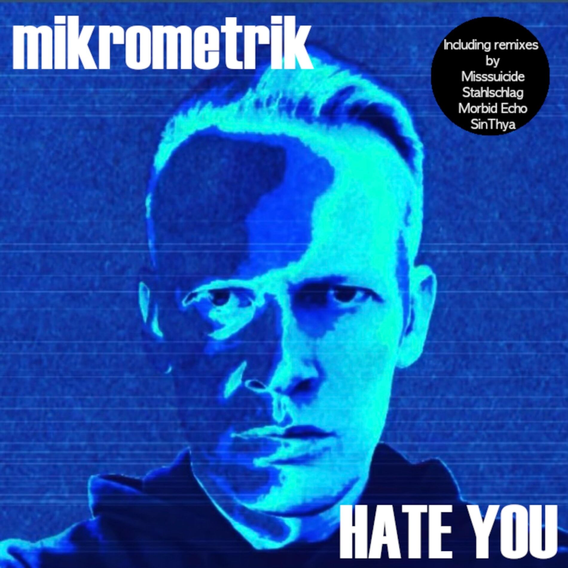 Album cover of Hate You (Single & Remixes)